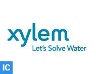 xylem